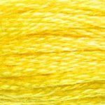 Embroidery Floss