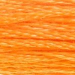 Embroidery Floss