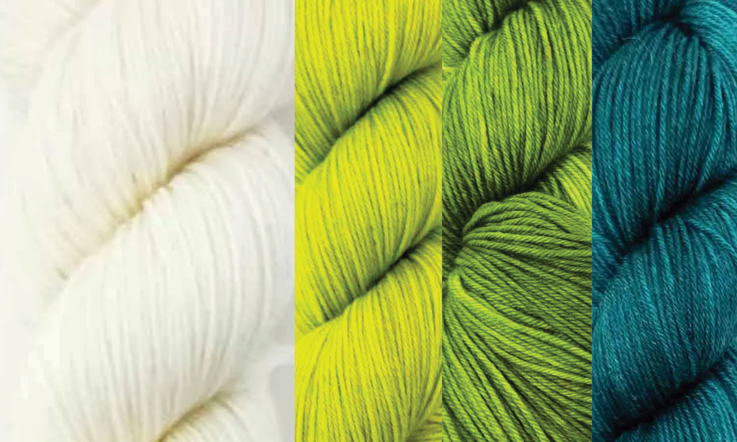 Juicy Fruit or Simplicity Shawl Kit