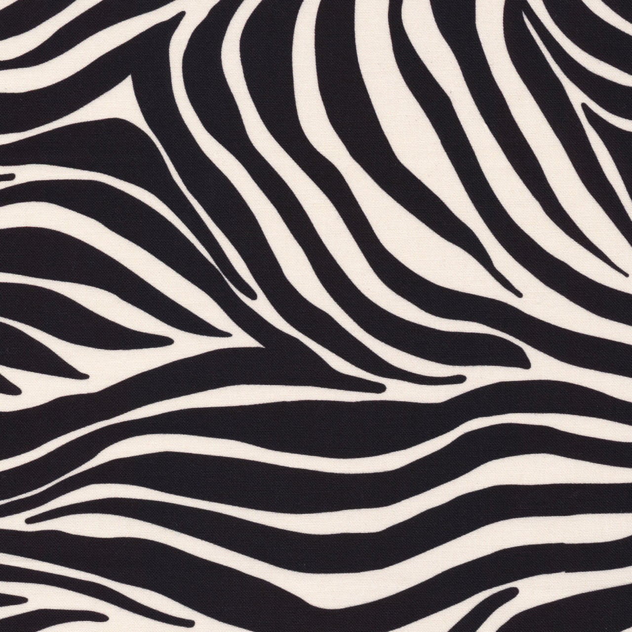 Zebras Stripes