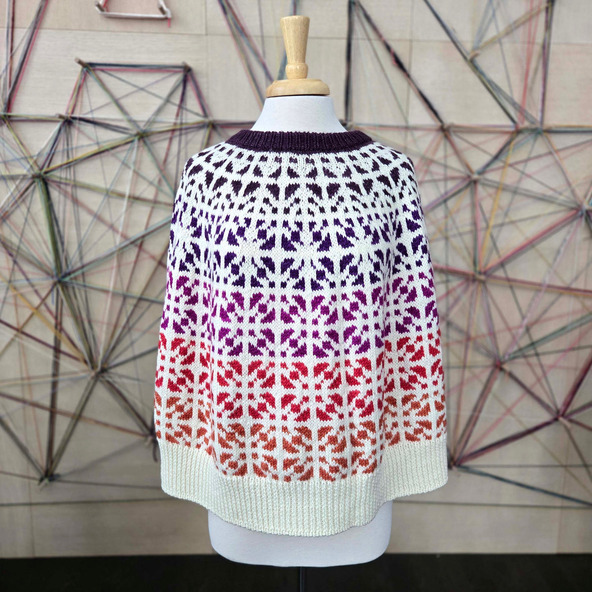 Vetri Poncho Kit