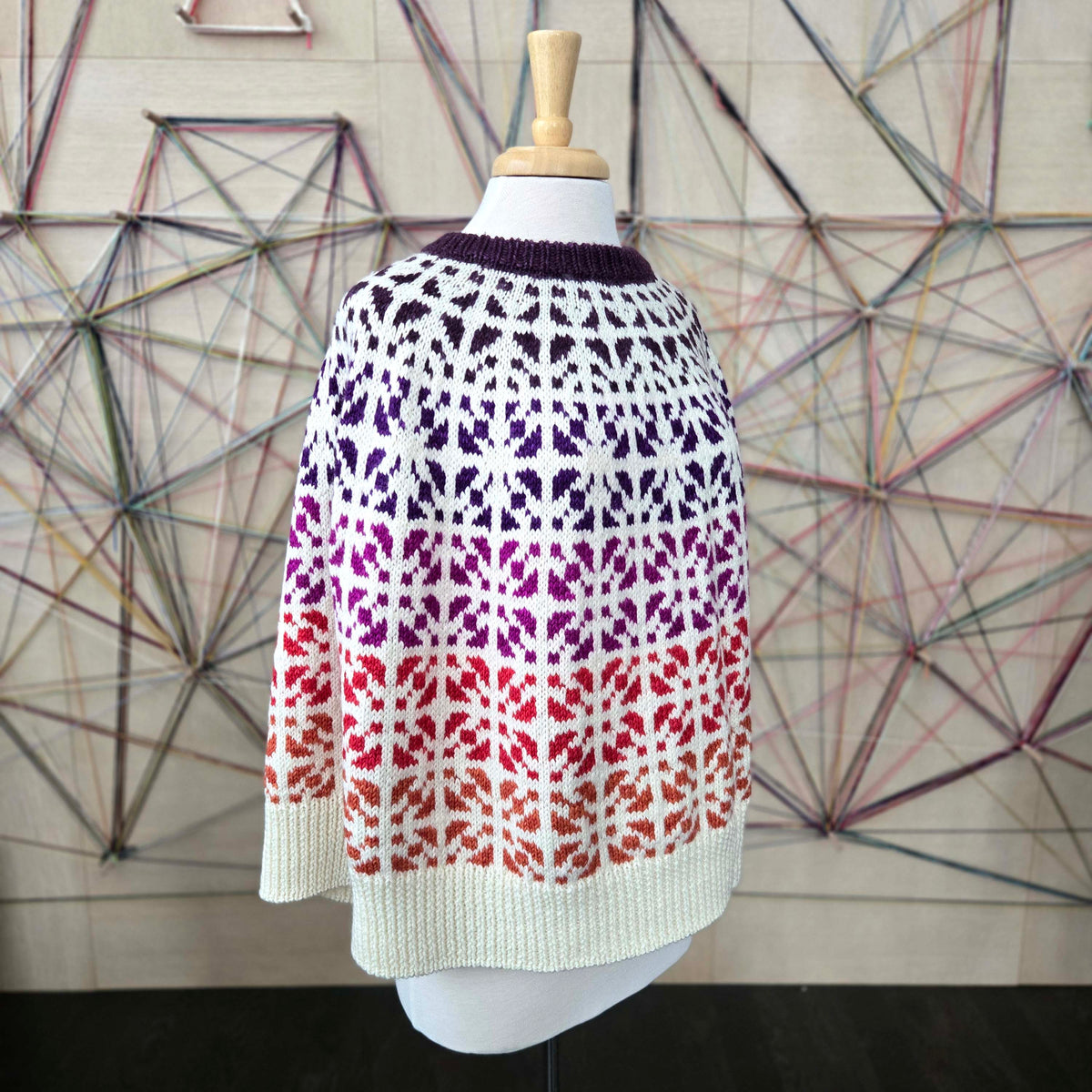 Vetri Poncho Kit