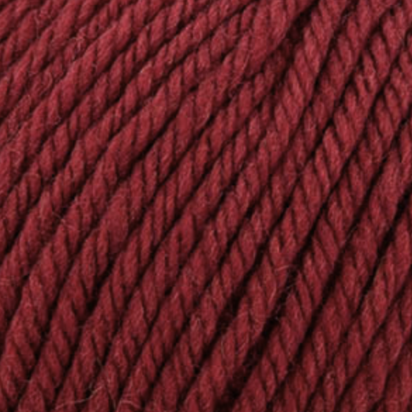 Learn to Knit/Crochet Kit