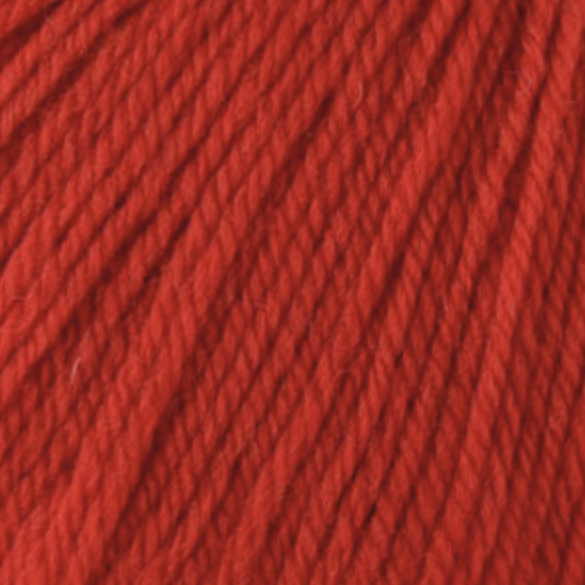 Learn to Knit/Crochet Kit