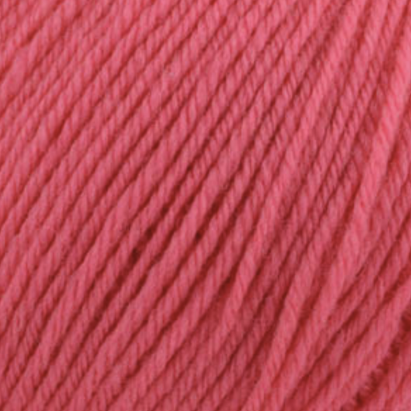 Learn to Knit/Crochet Kit