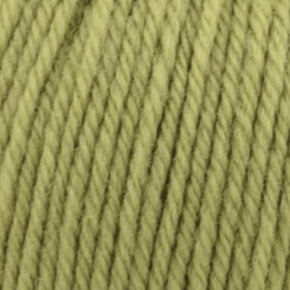 Learn to Knit/Crochet Kit