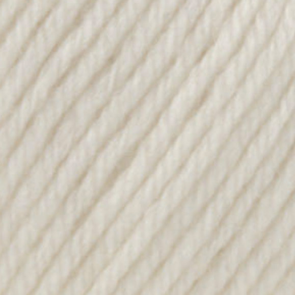 Learn to Knit/Crochet Kit