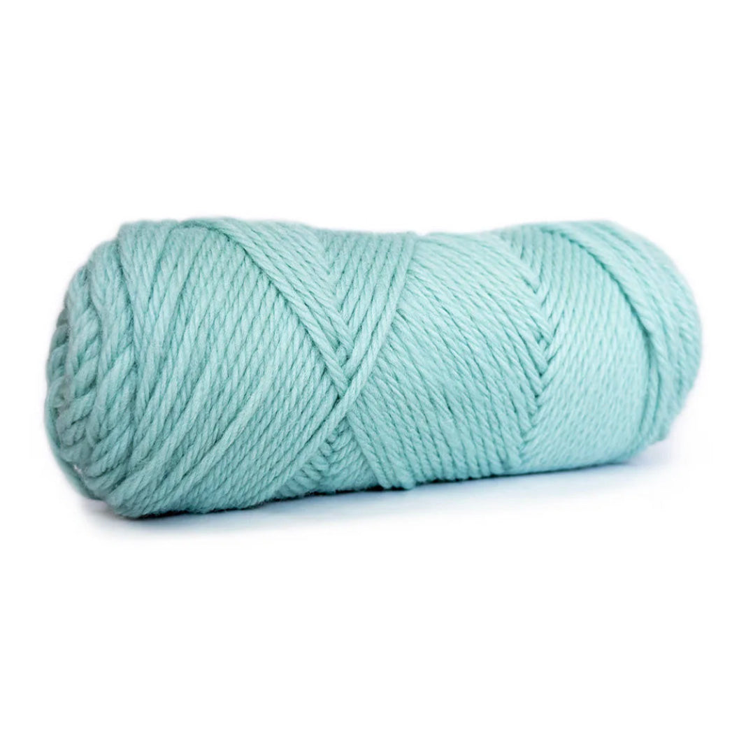 Learn to Knit/Crochet Kit