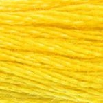 Embroidery Floss