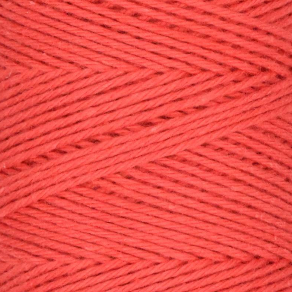 Queensland Collection Coastal Cotton Fine Yarn