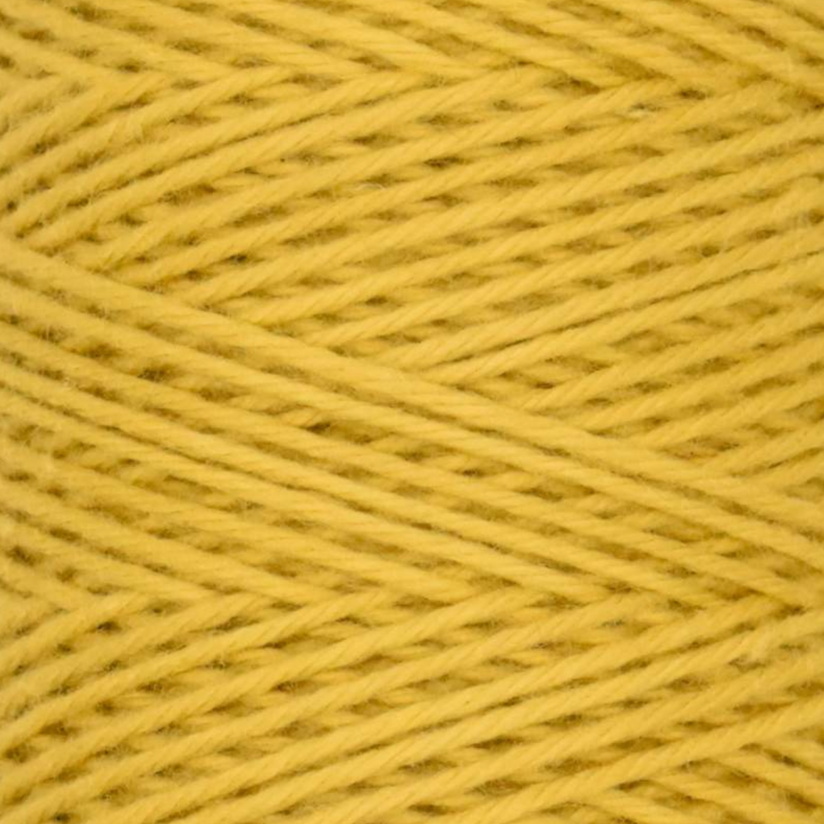 Queensland Collection Coastal Cotton Fine Yarn
