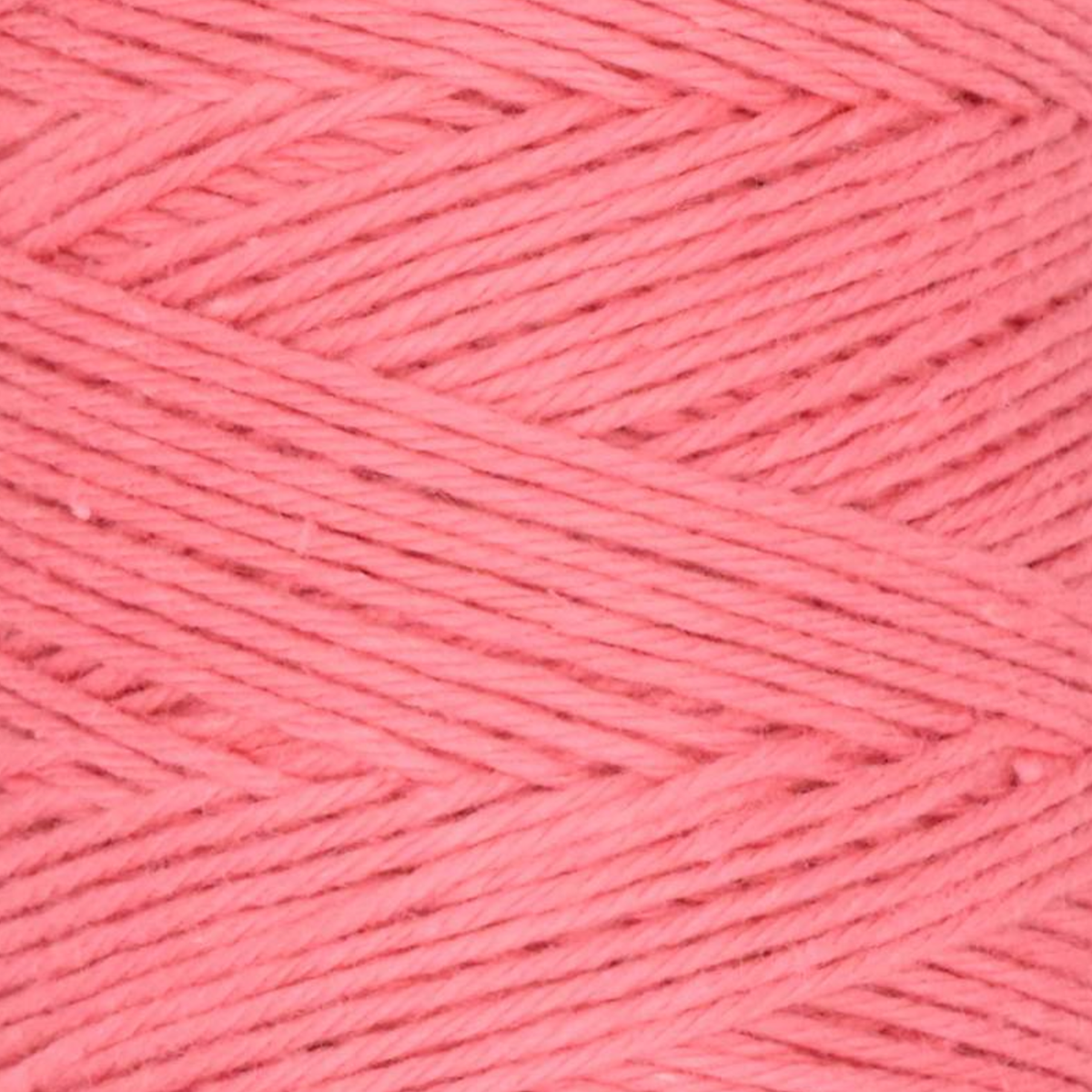 Queensland Collection Coastal Cotton Fine Yarn