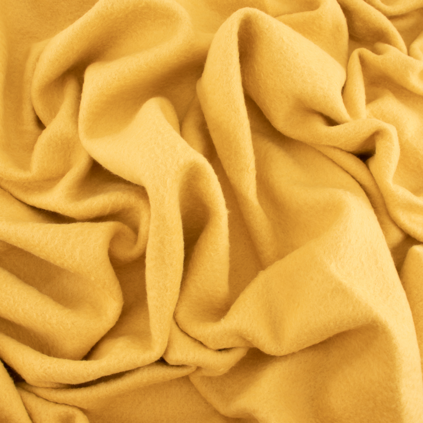 Organic Solid Fleece Honey