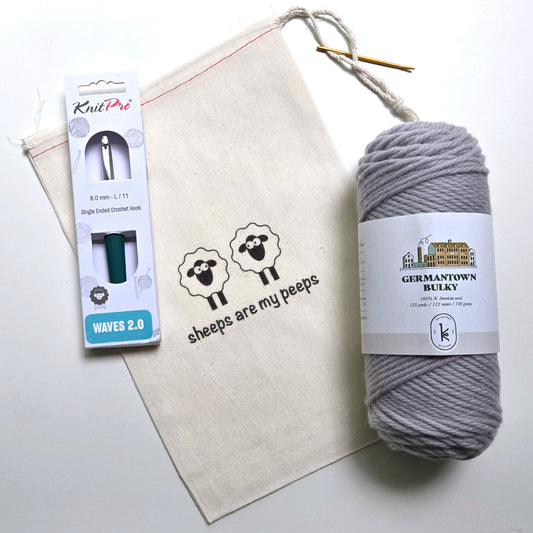 Learn to Knit/Crochet Kit