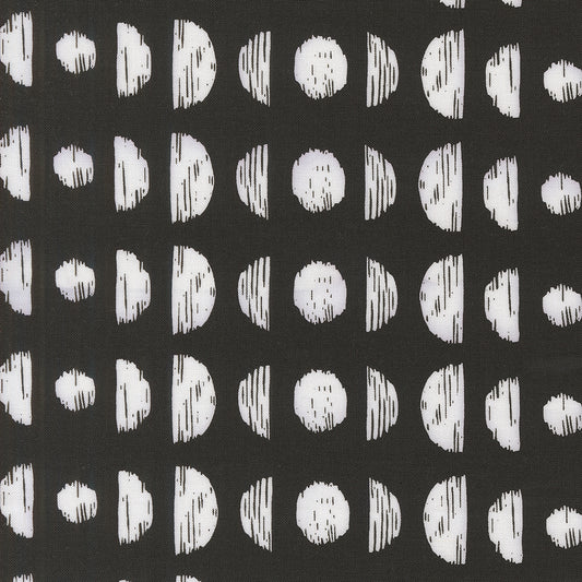 Botany Phases