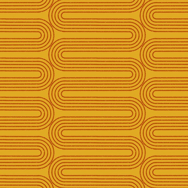 To and Fro Meandering Cactus