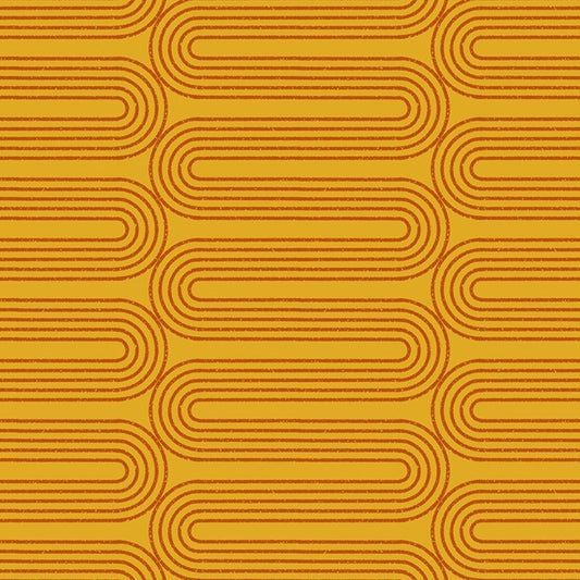To and Fro Meandering Cactus