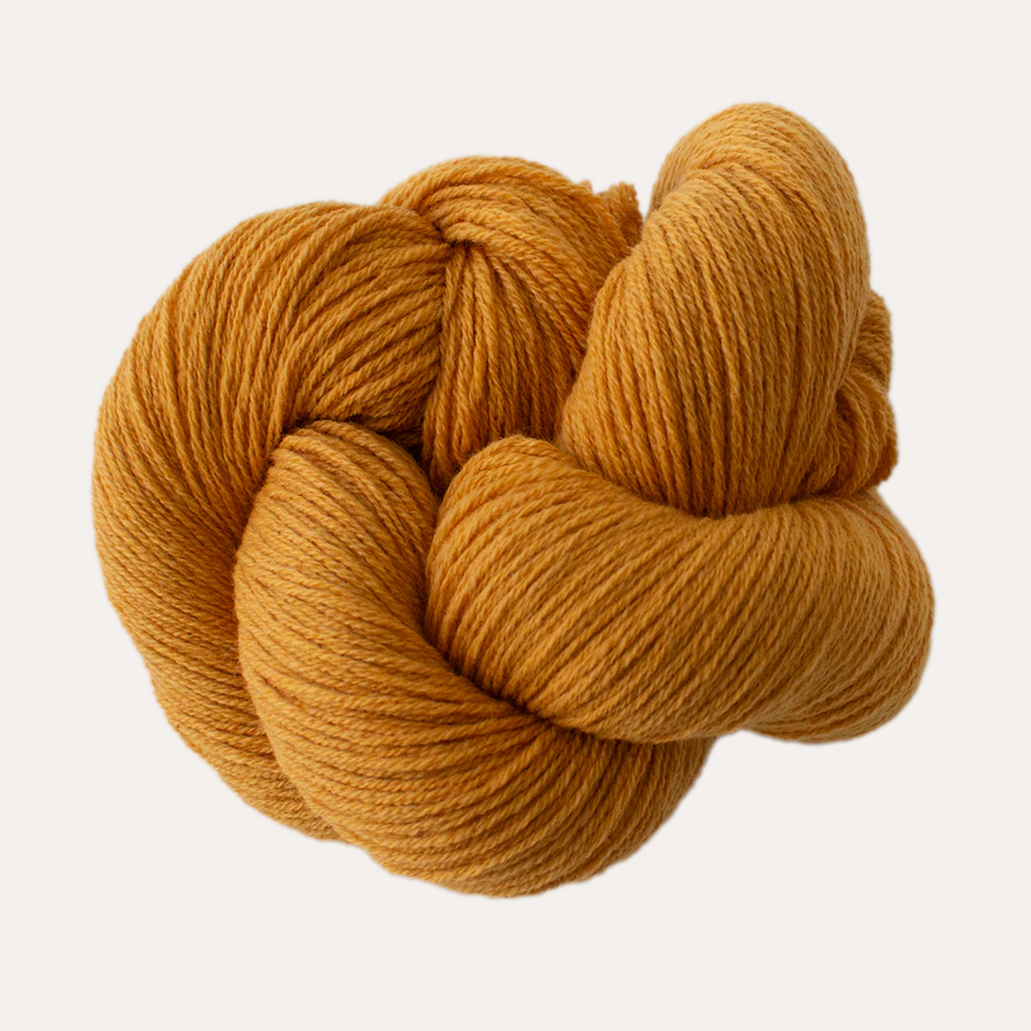 Cashmere Sport