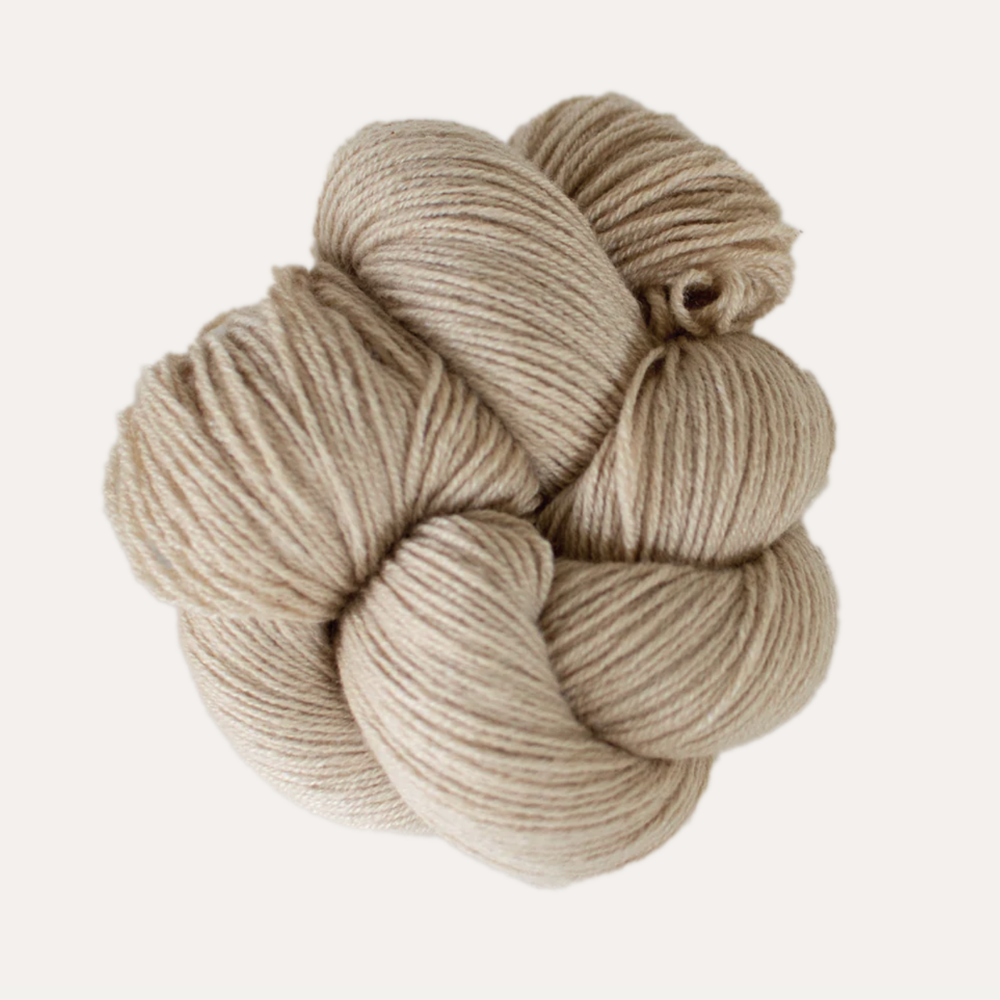 Cashmere Sport